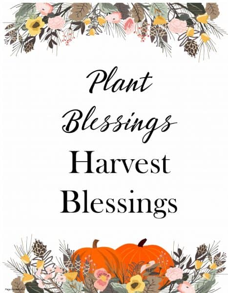 Plant blessings - harvest blessings